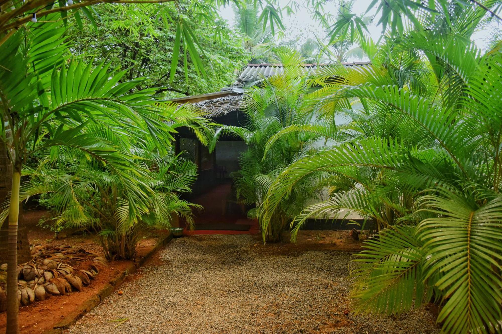 Passion Ray Villa & Tree Hut Sigiriya Buitenkant foto
