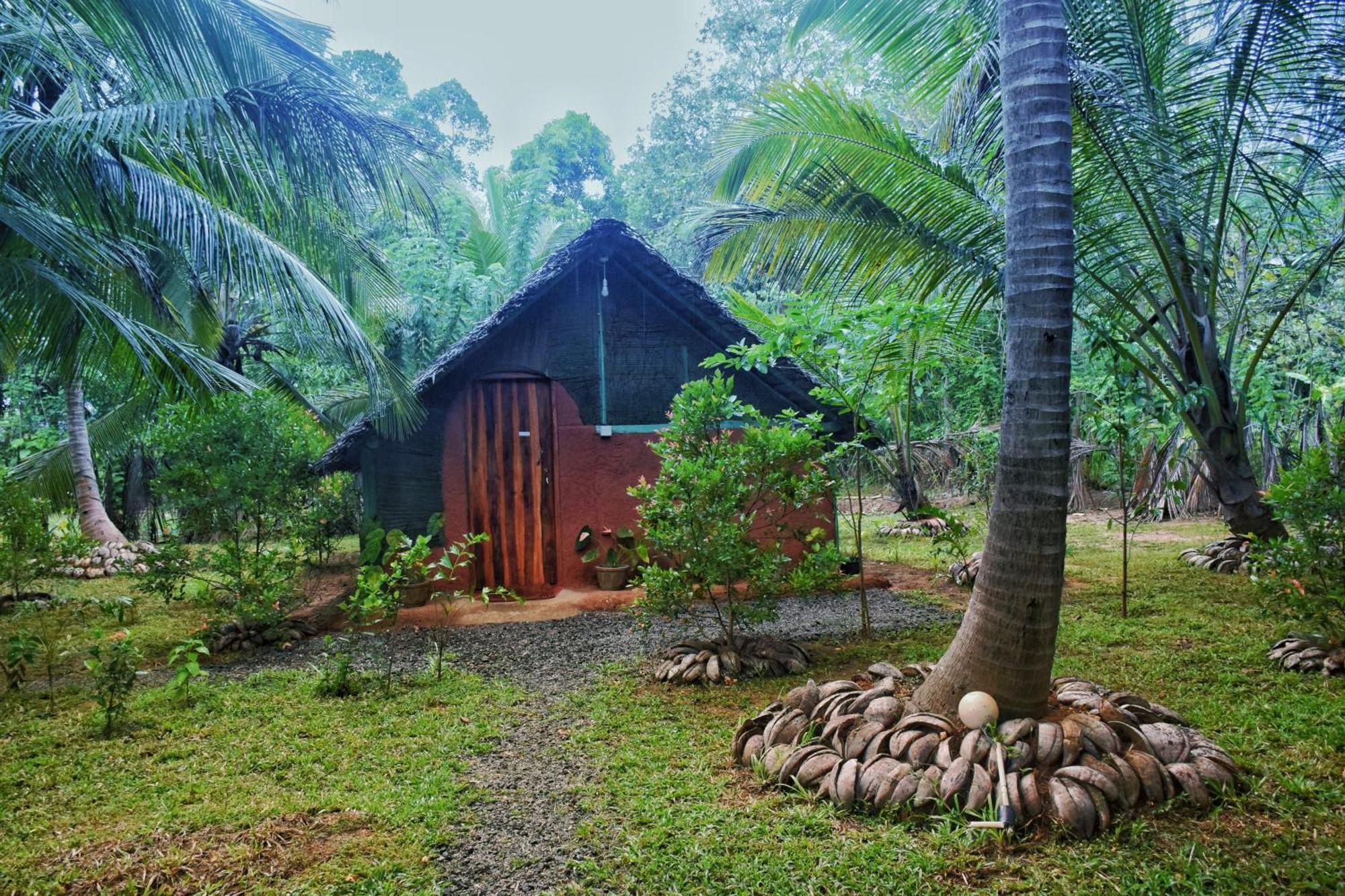 Passion Ray Villa & Tree Hut Sigiriya Kamer foto