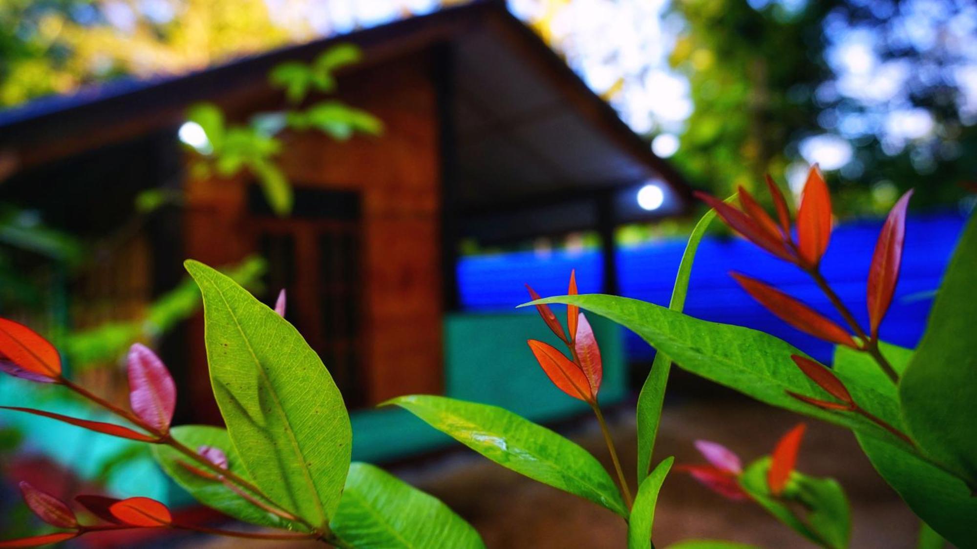 Passion Ray Villa & Tree Hut Sigiriya Buitenkant foto